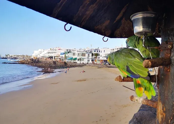 Apartment Mares De Lava - *